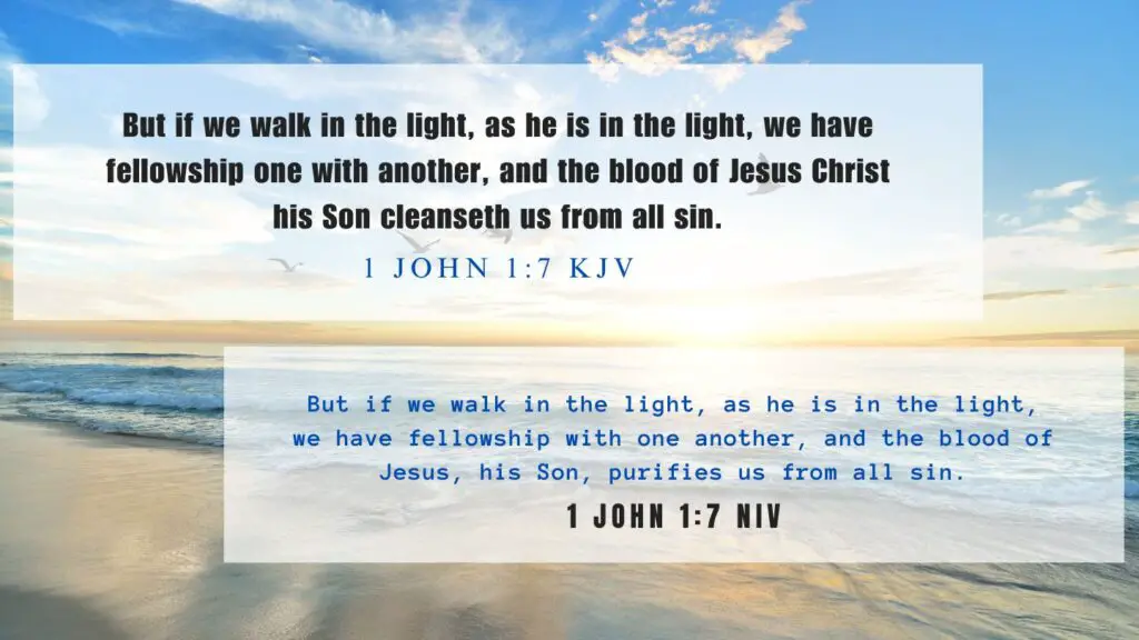 What does 1 John 1:7 mean