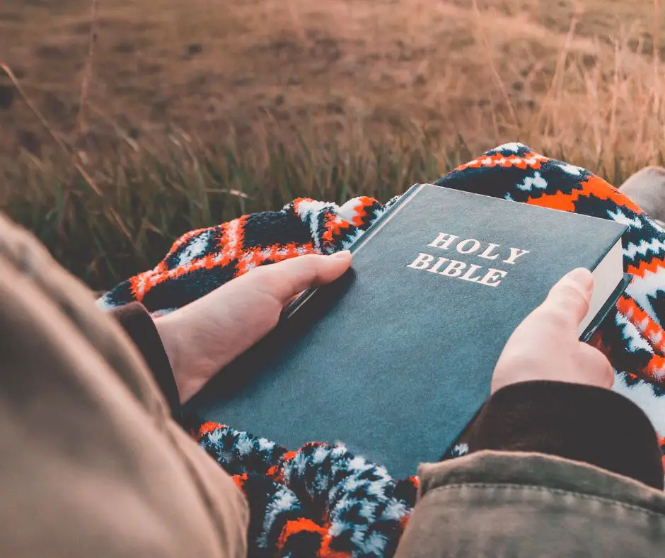 guide to reading the bible