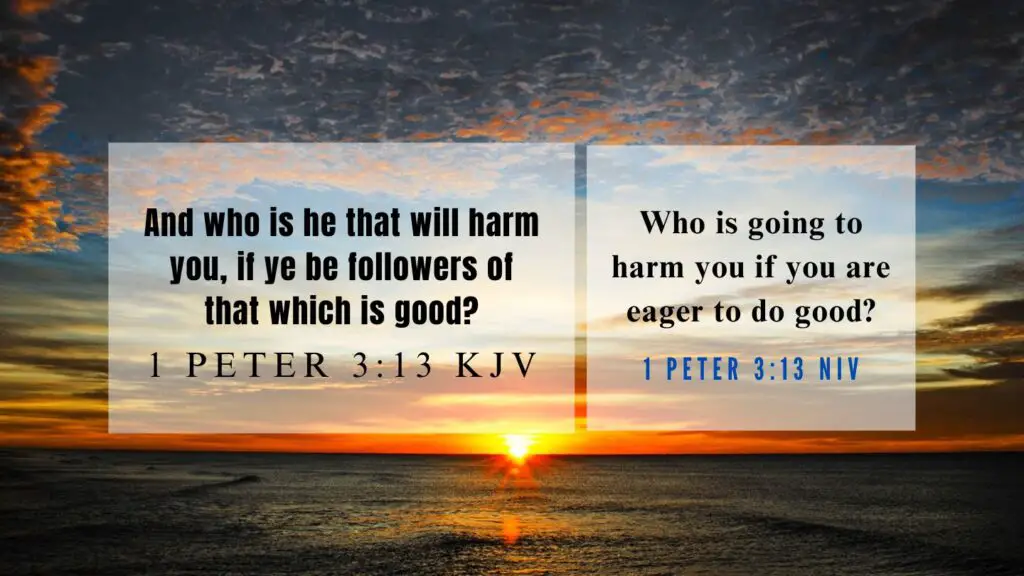 Verse of the Day KJV for July 11 2023 Tuesday - What does 1 Peter 3:13 mean