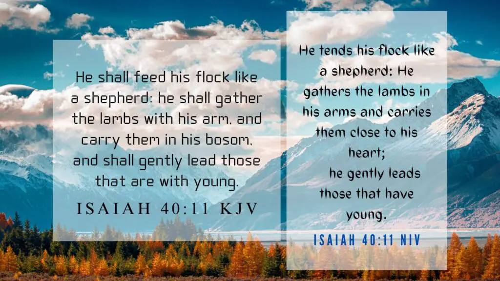 Verse of the Day KJV for July 16 2023 Sunday - What does Isaiah 40:11 mean