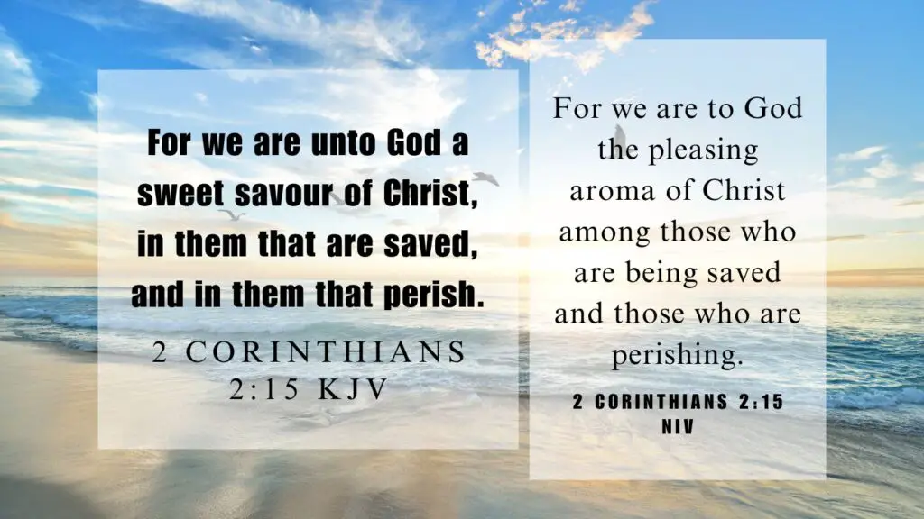 Verse of the Day KJV for July 21 2023 Friday - What does 2 Corinthians 2:15 mean