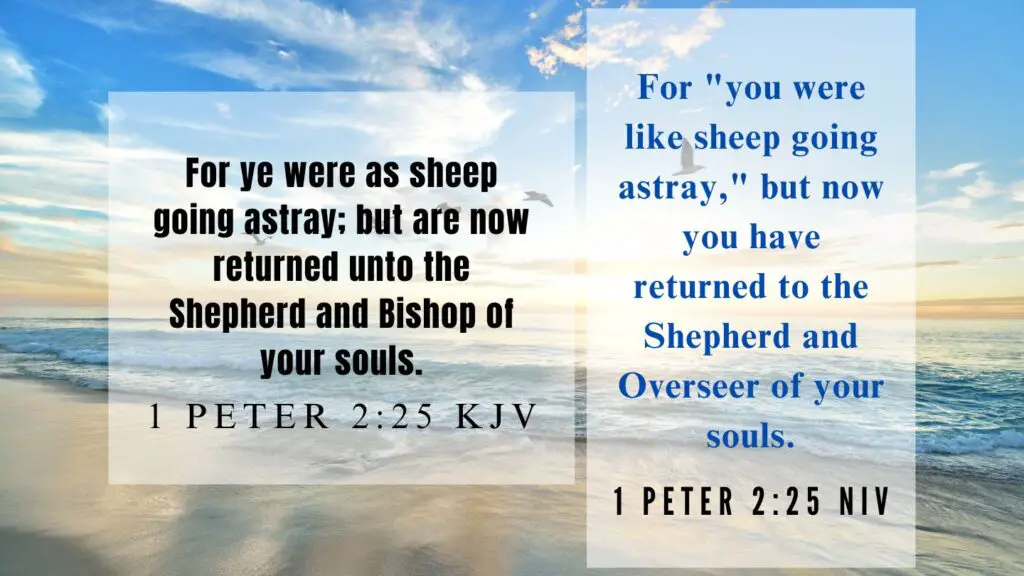 Verse of the Day KJV for July 6 2023 Thursday - What does 1 Peter 2:25 mean