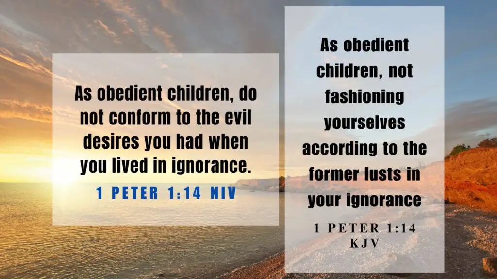Verse of the Day KJV for August 16 2023 Wednesday - What does 1 Peter 1:14 mean