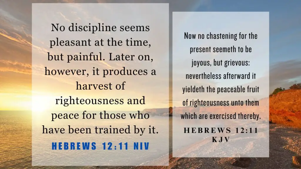 Verse of the Day KJV for August 19 2023 Saturday - What does Hebrews 12:11 mean