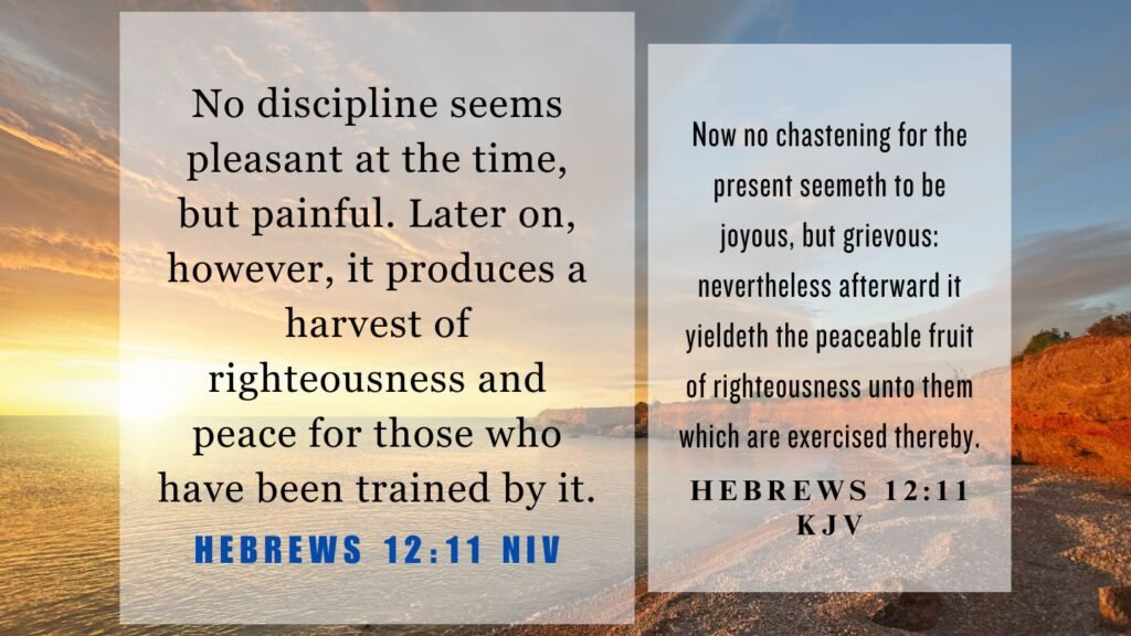 What Does Hebrews 12 11 Mean 
