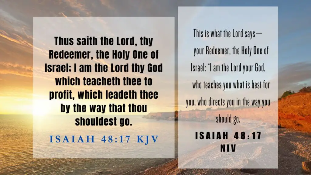 Verse of the Day KJV for August 2 2023 Wednesday - What does Isaiah 48:17 mean