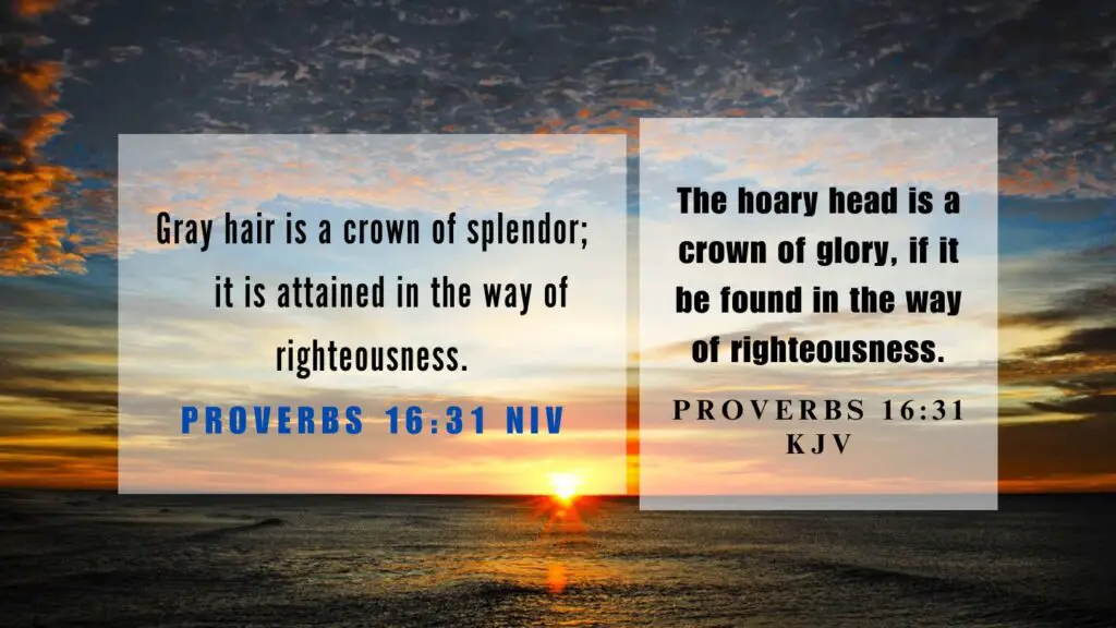 Verse of the Day KJV for August 20 2023 Sunday - What does Proverbs 16:31 mean