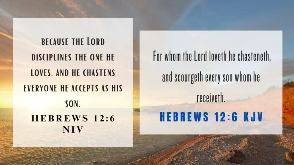 What does Hebrews 12:6 mean
