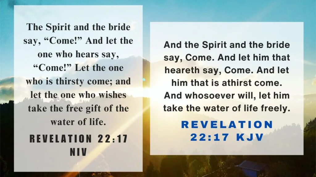 What does Revelation 22:17 mean