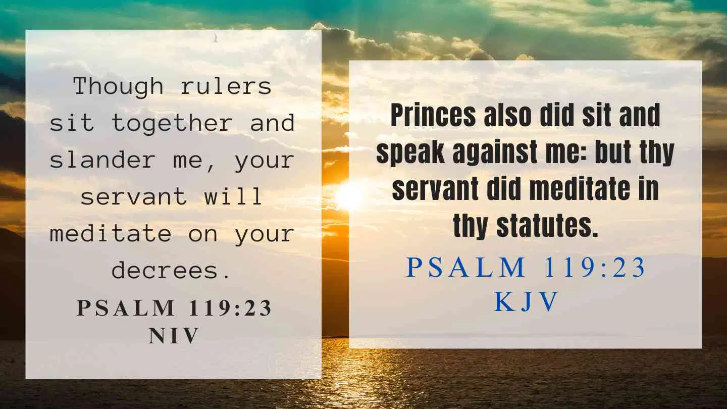 Psalm 119:23 KJV and NIV