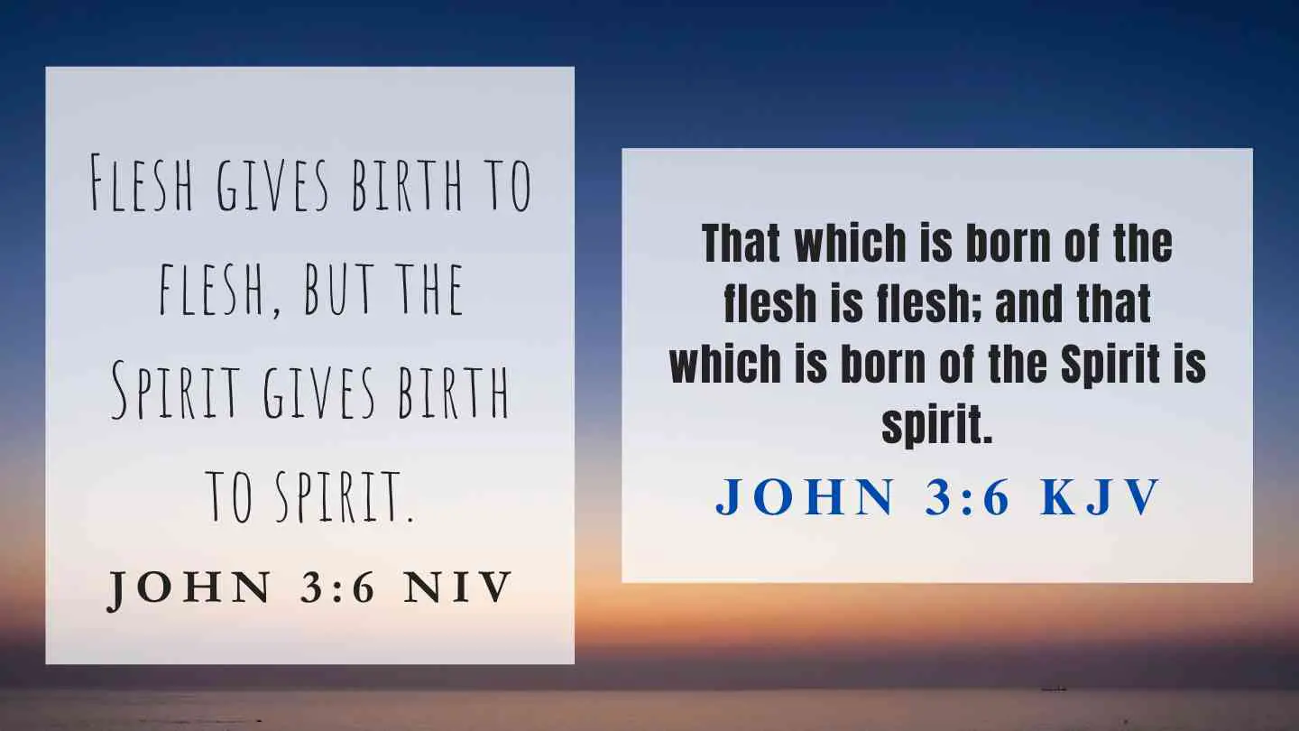 John 3:6 KJV and NIV