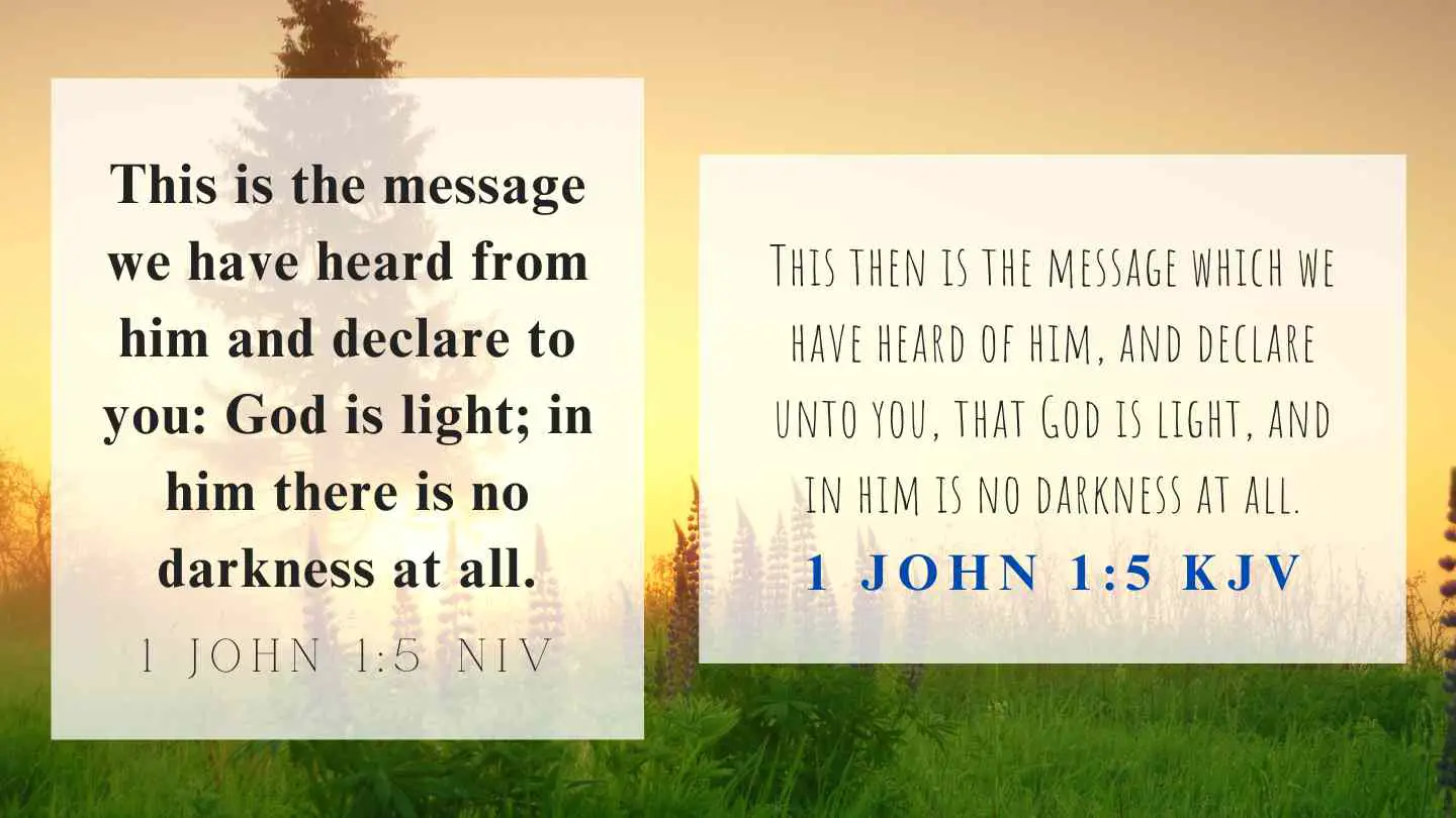 1 John 1:5 KJV and NIV