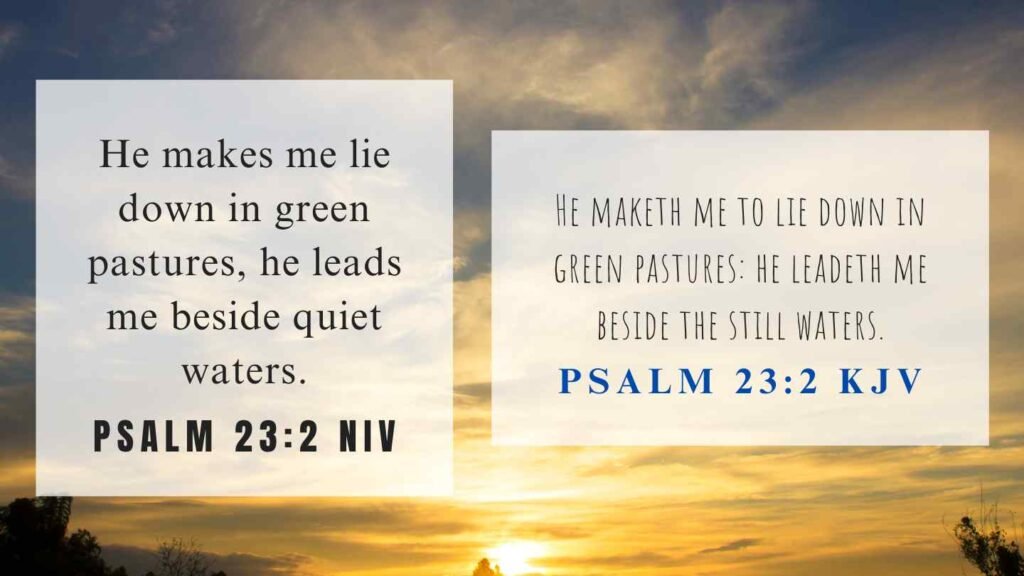 What Does Psalm 23 2 Mean 