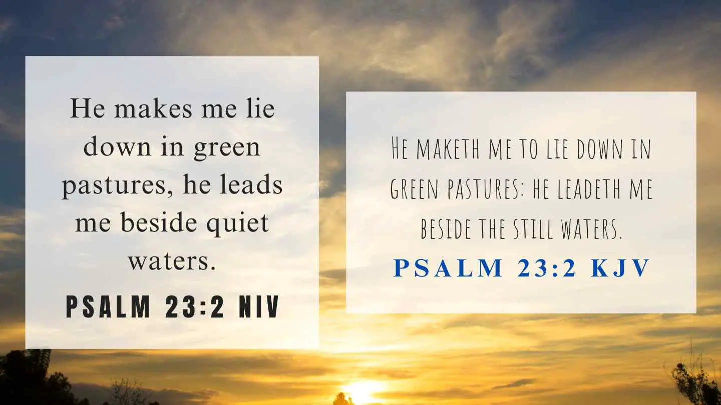 Psalm 23:2 KJV and NIV