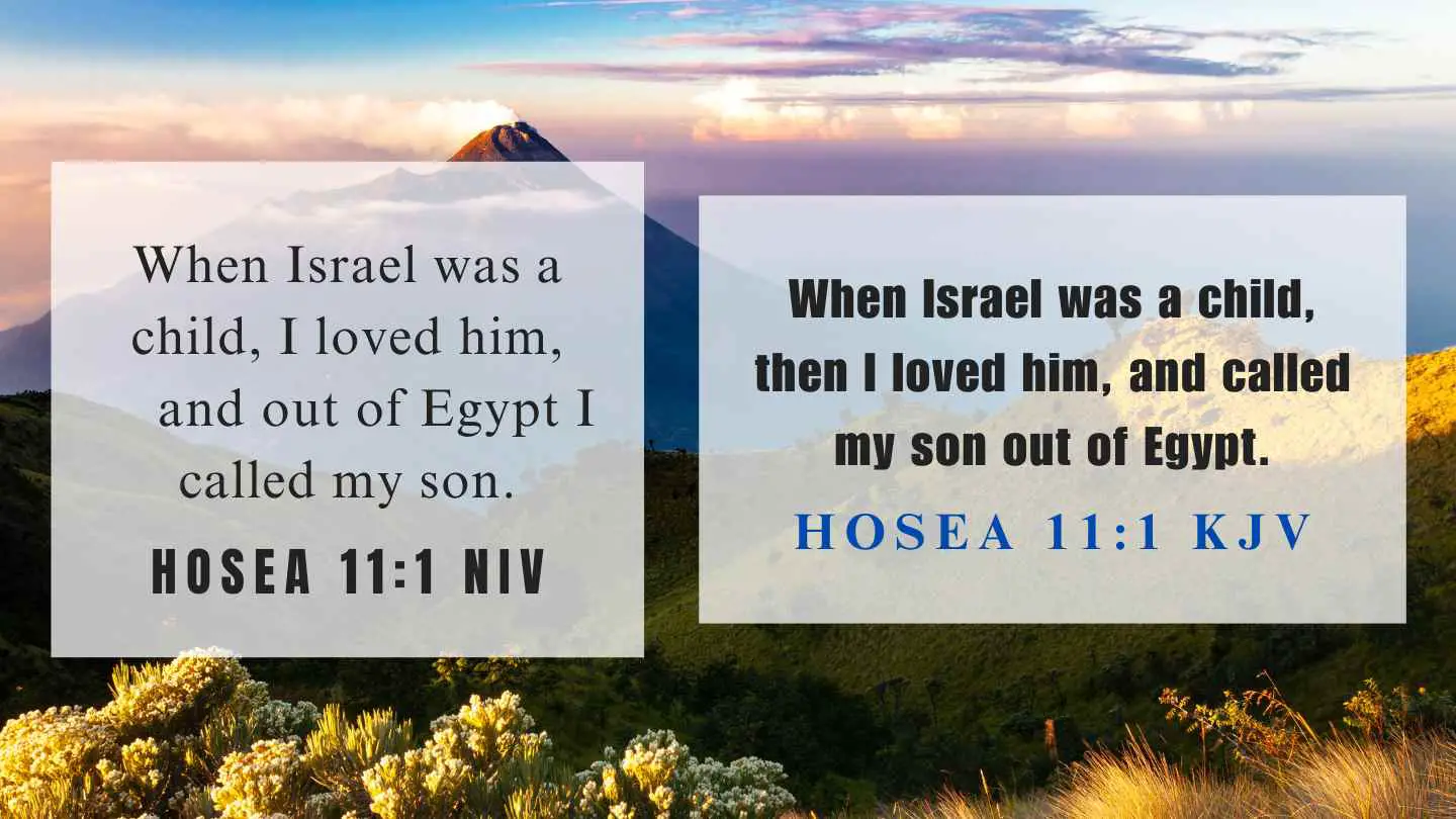 Hosea 11:1 KJV and NIV