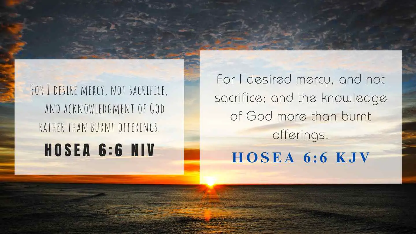 Hosea 6:6 KJV and NIV