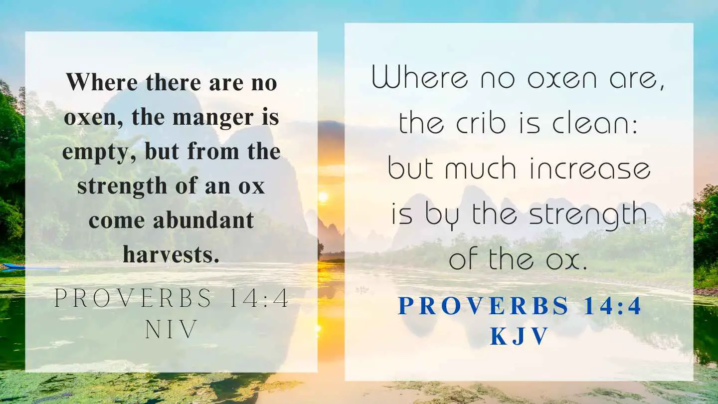 Proverbs 14:4 KJV and NIV