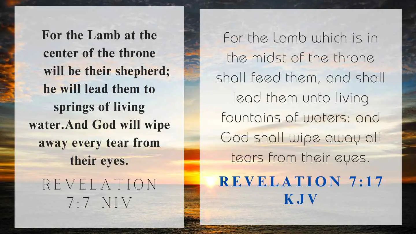 Revelation 7:17 KJV and NIV