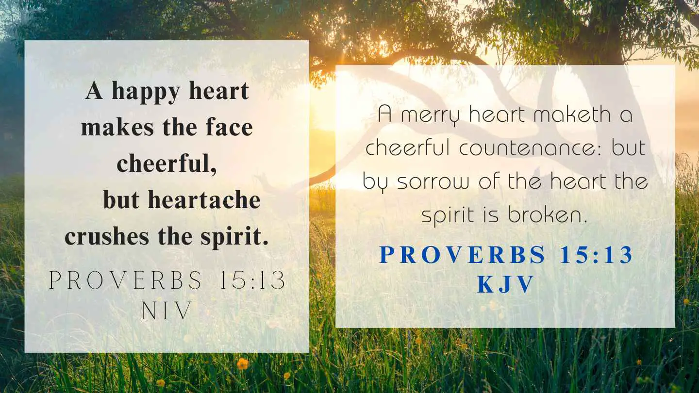 Proverbs 15:13 KJV and NIV