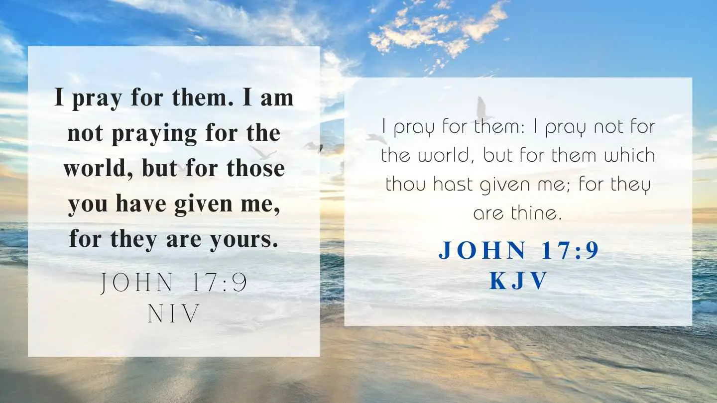 John 17:9 KJV and NIV