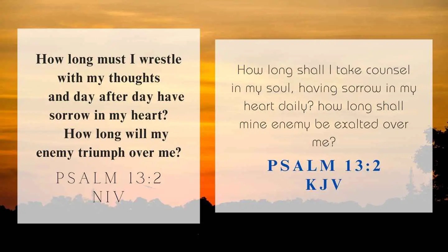Psalm 13:2 KJV and NIV