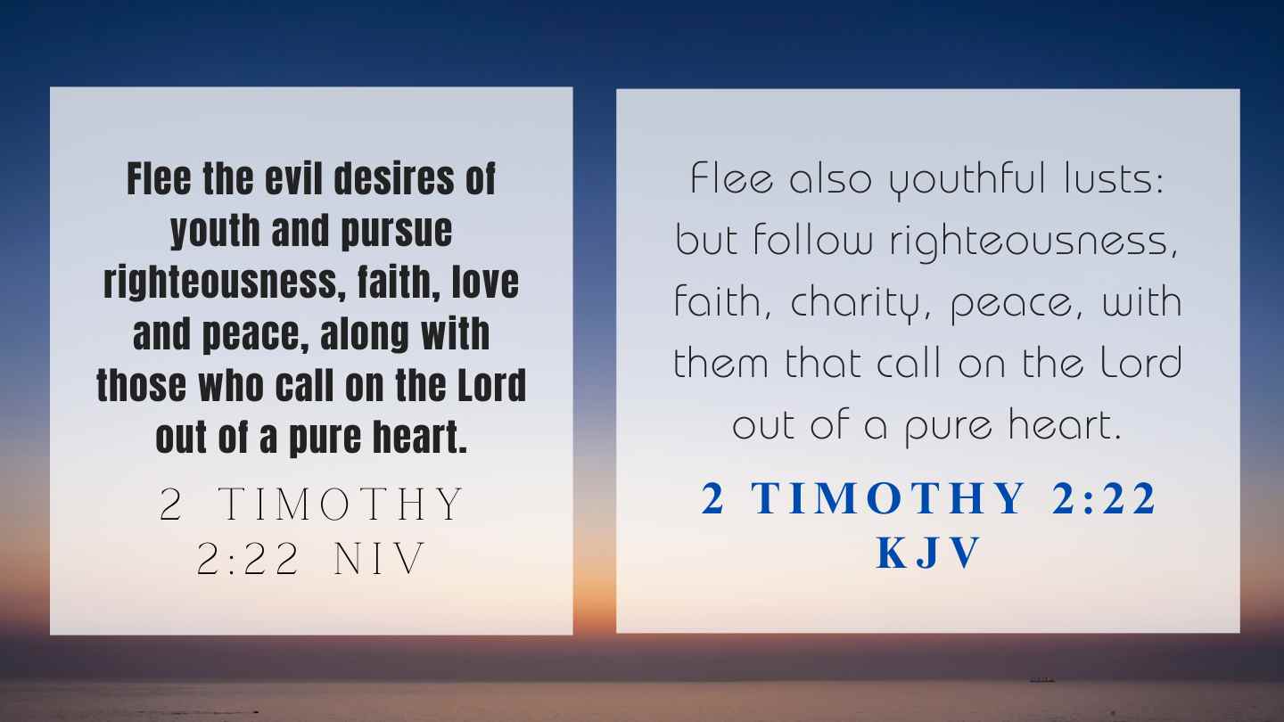 2 Timothy 2:22 KJV and NIV