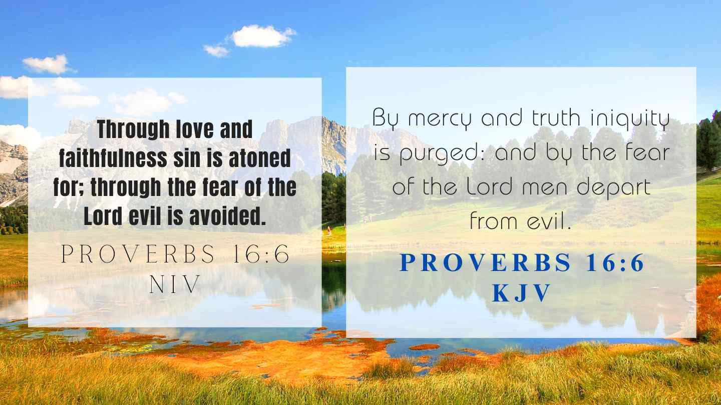 Proverbs 16:6 KJV and NIV
