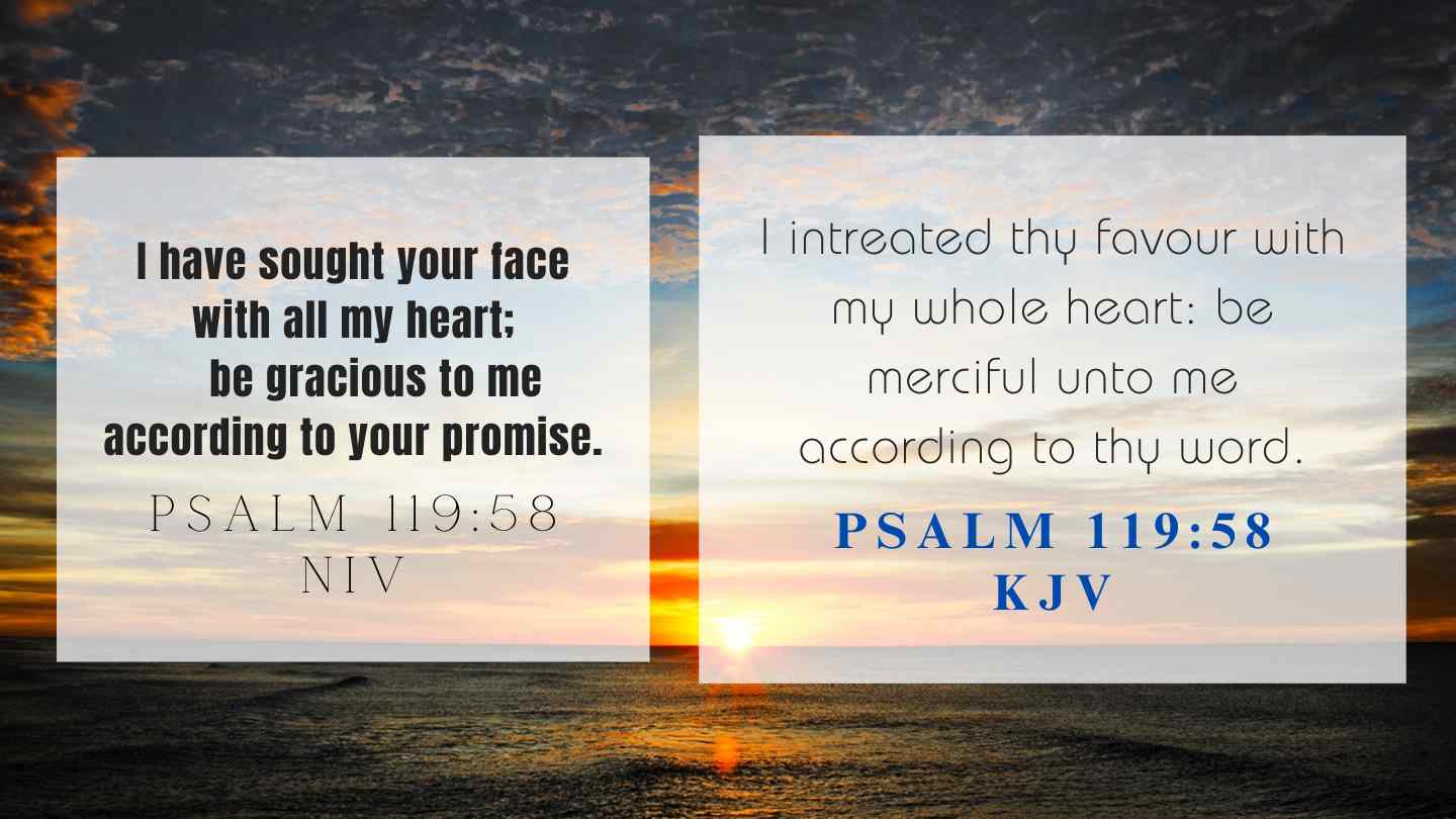 Psalm 119:58 KJV and NIV