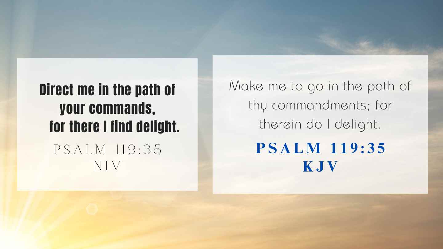 Psalm 119:35 KJV and NIV