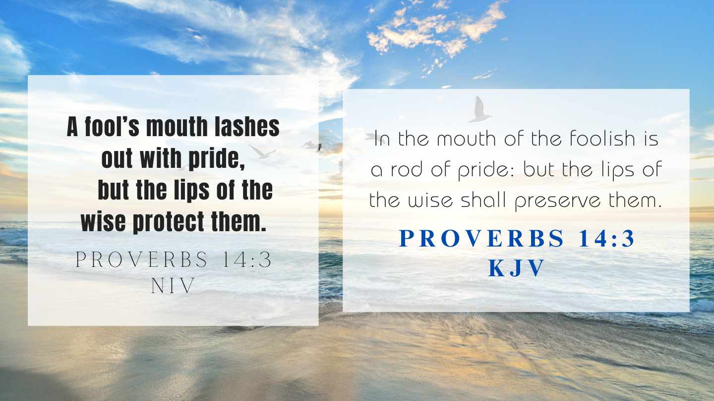 Proverbs 14:3 KJV and NIV