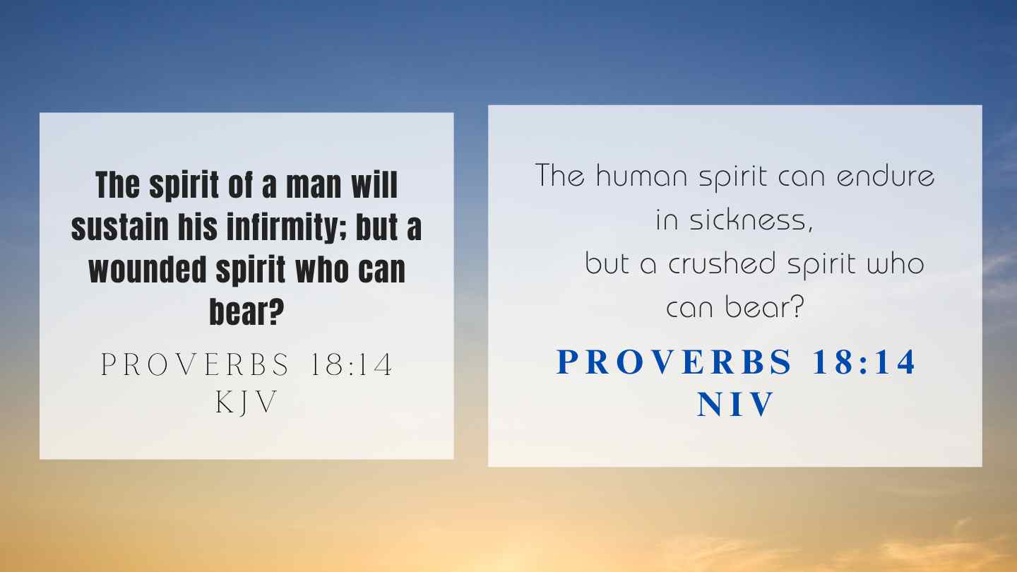 Proverbs 18:14 KJV and NIV