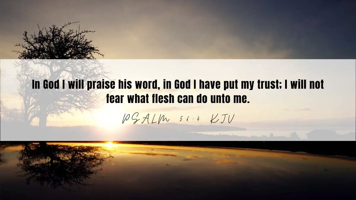 Powerful inspiration from Psalm 56:4 for September 16, 2024