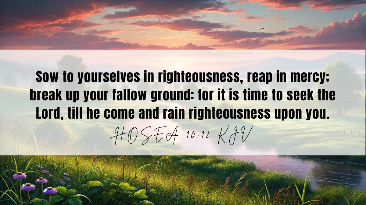 Powerful inspiration from Hosea 10:12 for October 13, 2024