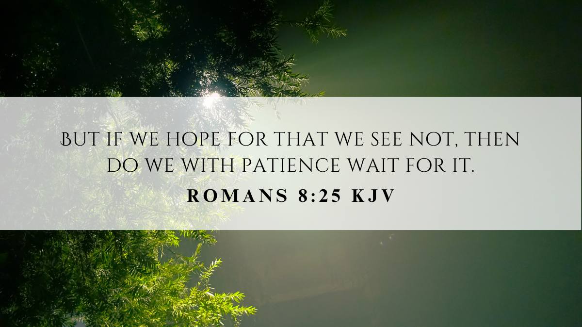 Powerful inspiration from Romans 8:25 for November 18, 2024