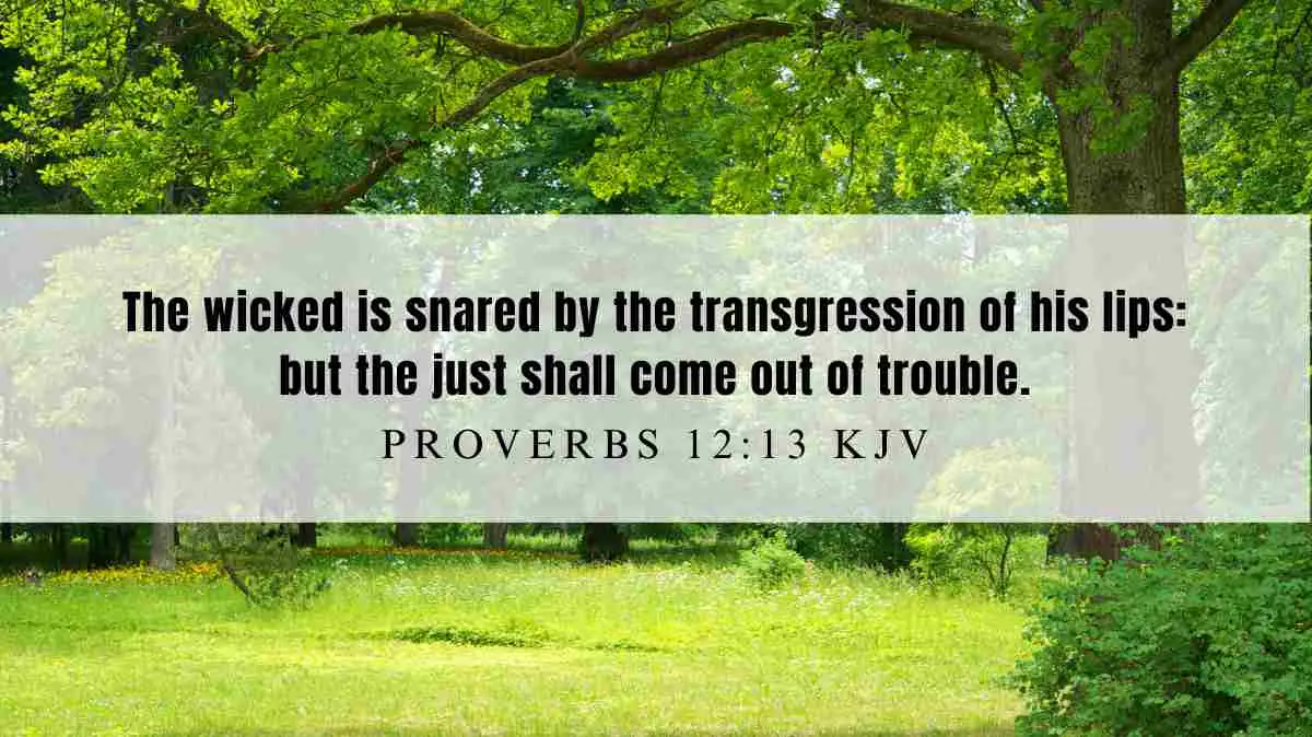 Powerful inspiration from Proverbs 12:13 for November 26, 2024