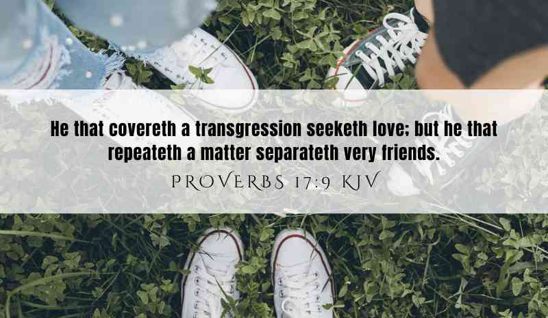 Powerful inspiration from Proverbs 17:9 for December 5, 2024