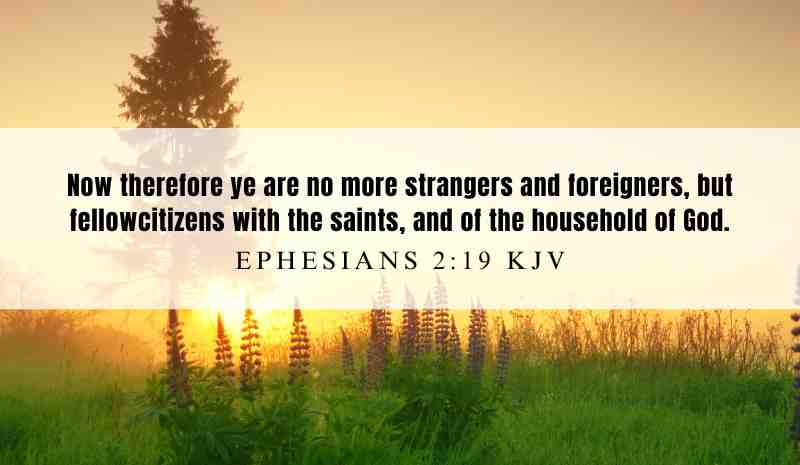 Powerful inspiration from Ephesians 2:19 for December 18, 2024