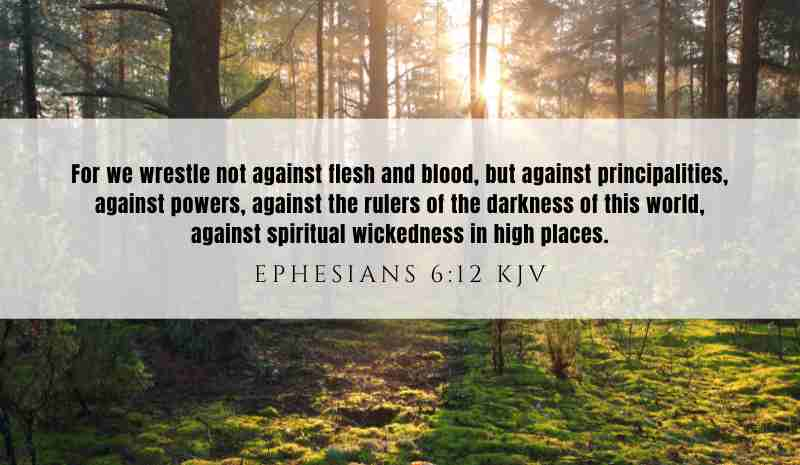 Powerful inspiration from Ephesians 6:12 for January 20, 2025