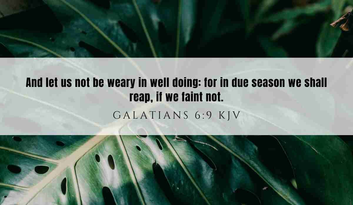 Powerful inspiration from Galatians 6:9 February 19th 2025