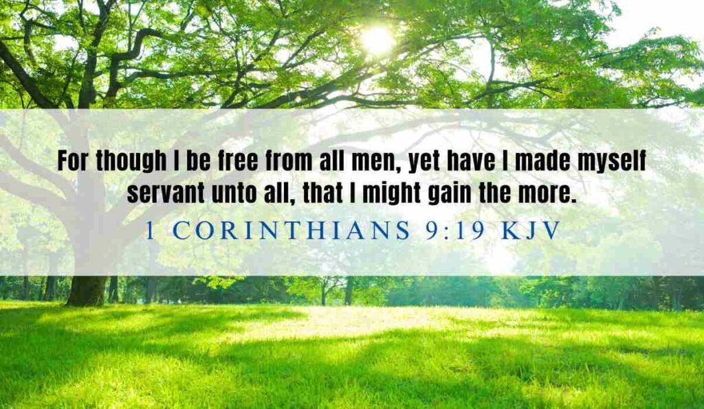 Daily Bible Verse of the Day KJV