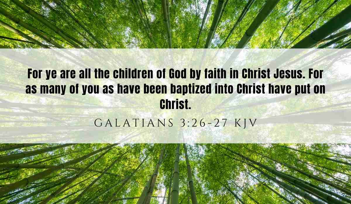 Powerful inspiration from Galatians 3:26-27 March 17th 2025