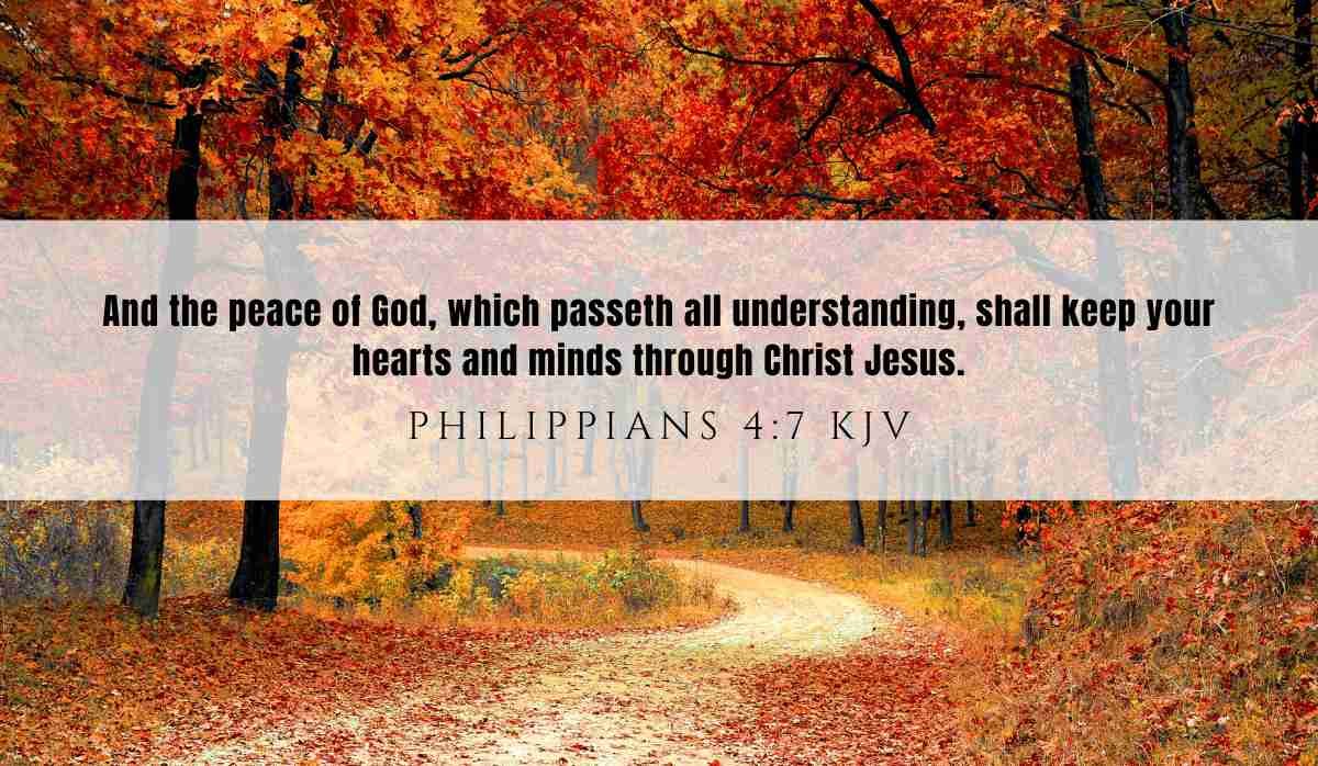 Bible Verse Of The Day Scripture For Today NAFG Bible Verse Of The Day Scripture For Today NAFG