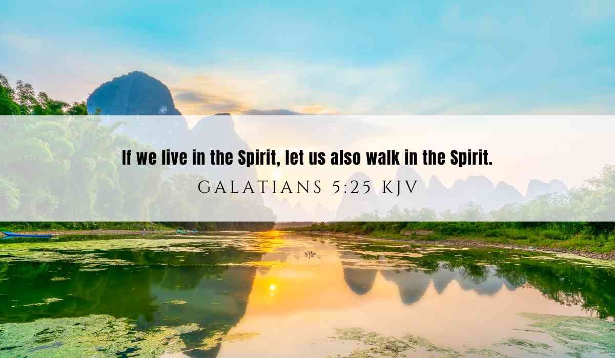 Powerful verse of the day inspiration for May 12th 2025