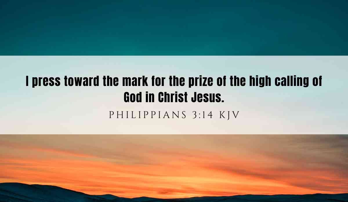 Powerful verse of the day inspiration for May 21st 2025