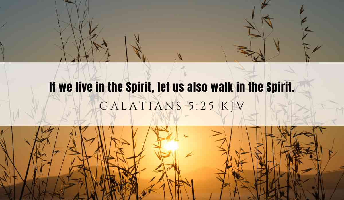 Powerful verse of the day inspiration for May 30th 2025