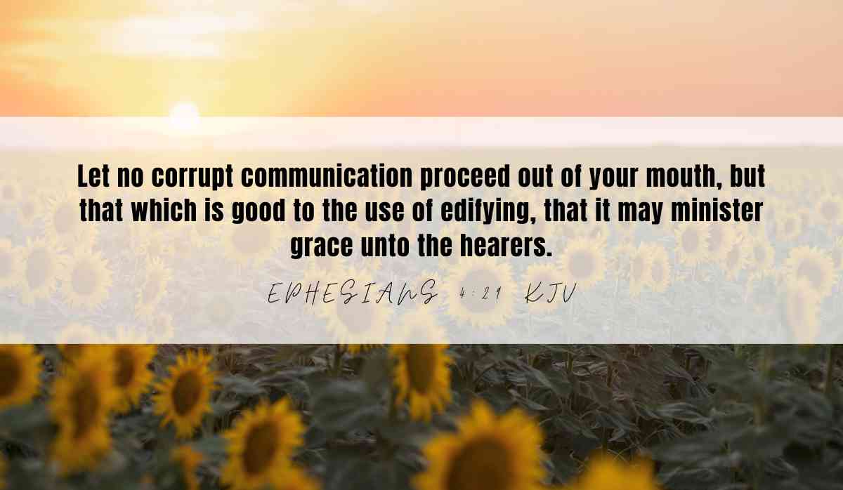 Powerful verse of the day inspiration for June 2nd 2025