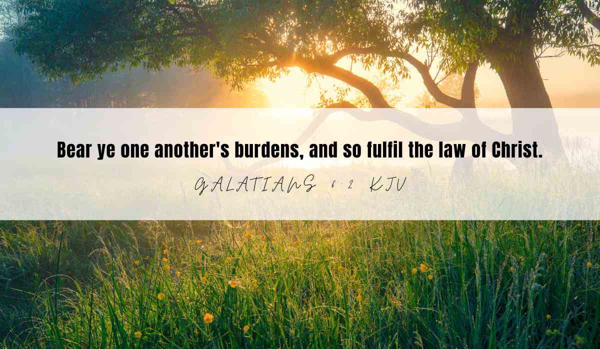 Powerful verse of the day inspiration for June 3rd 2025