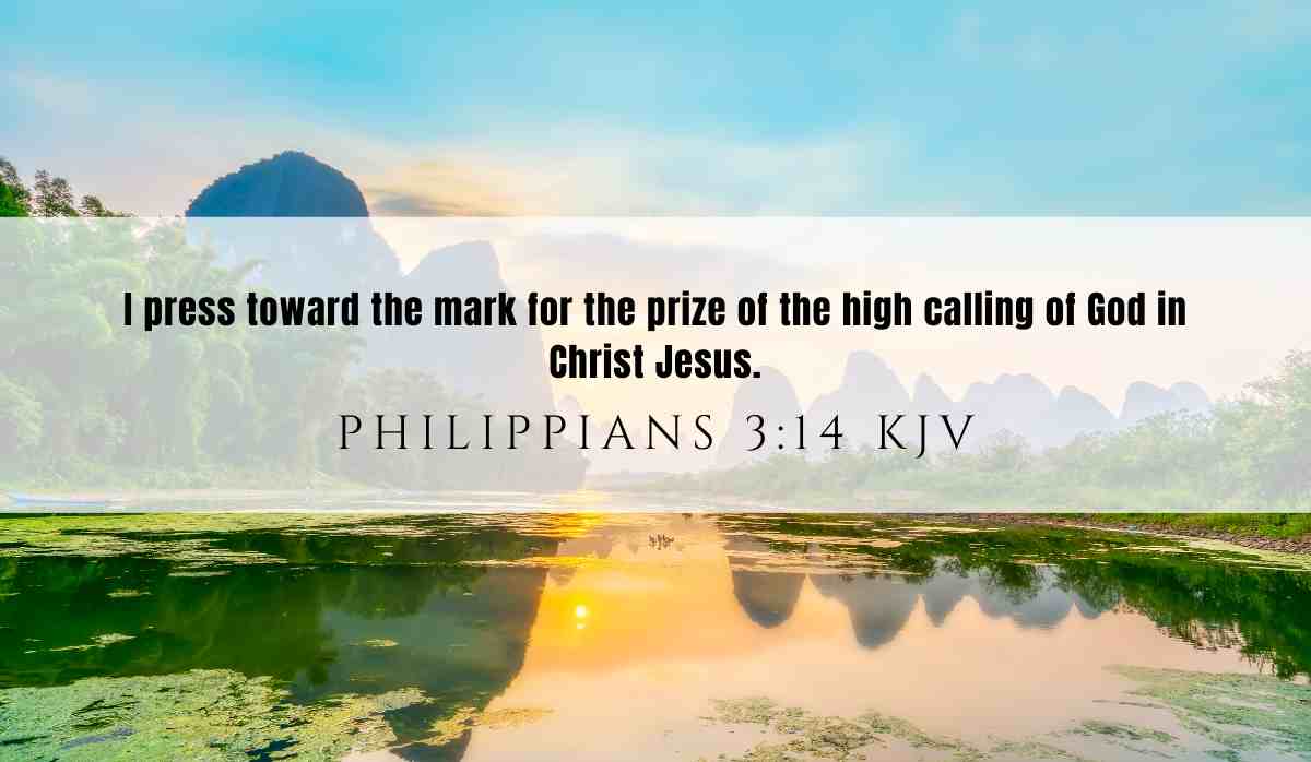 Powerful verse of the day inspiration for June 6th 2025