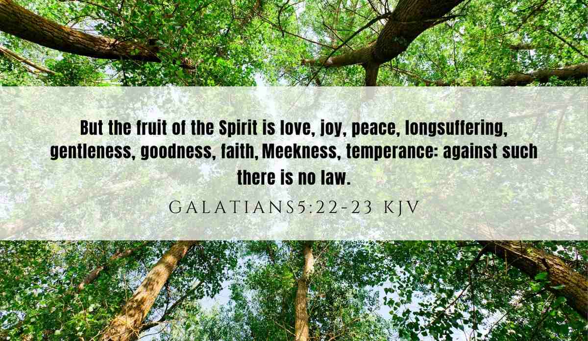 Powerful verse of the day inspiration for July 9th 2025