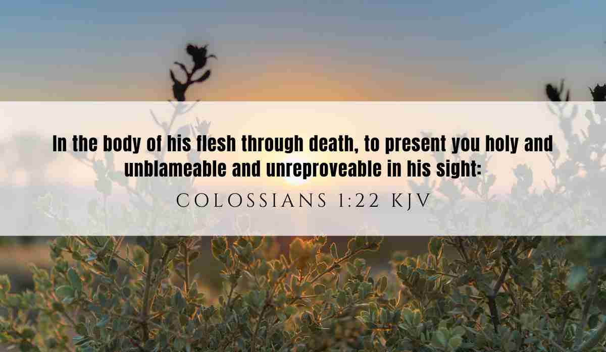 Powerful verse of the day inspiration for August 5th 2025